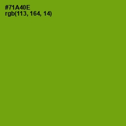 #71A40E - Christi Color Image