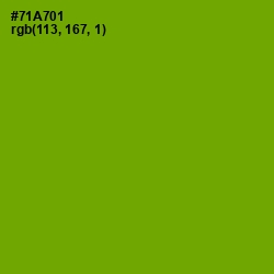 #71A701 - Christi Color Image