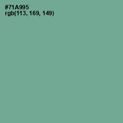 #71A995 - Sea Nymph Color Image