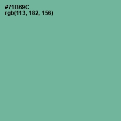 #71B69C - Silver Tree Color Image