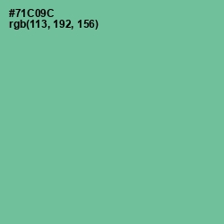 #71C09C - De York Color Image