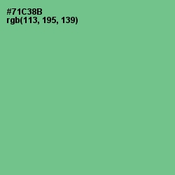 #71C38B - De York Color Image
