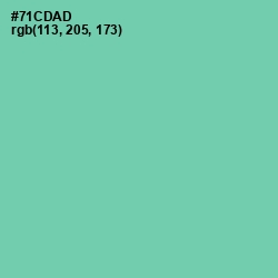 #71CDAD - De York Color Image