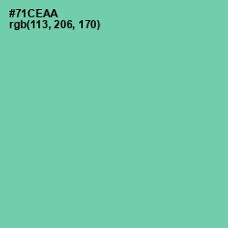 #71CEAA - De York Color Image