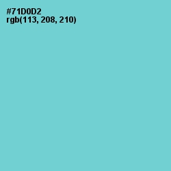 #71D0D2 - Downy Color Image