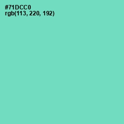 #71DCC0 - Bermuda Color Image