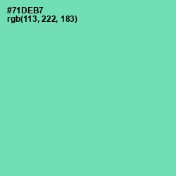 #71DEB7 - De York Color Image