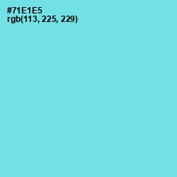 #71E1E5 - Aquamarine Blue Color Image