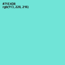 #71E4D8 - Aquamarine Color Image