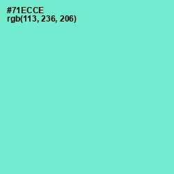 #71ECCE - Aquamarine Color Image