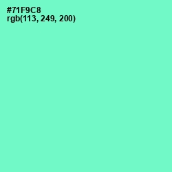 #71F9C8 - Aquamarine Color Image