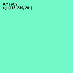 #71F9C9 - Aquamarine Color Image