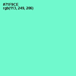 #71F9CE - Aquamarine Color Image