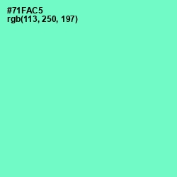 #71FAC5 - Aquamarine Color Image