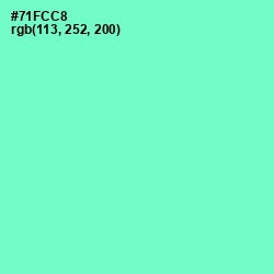 #71FCC8 - Aquamarine Color Image