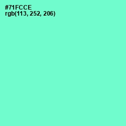 #71FCCE - Aquamarine Color Image