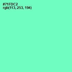 #71FDC2 - Aquamarine Color Image
