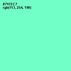 #71FEC7 - Aquamarine Color Image