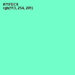 #71FEC9 - Aquamarine Color Image