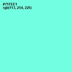 #71FEE1 - Aquamarine Color Image