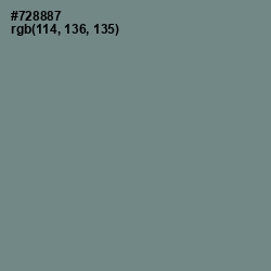 #728887 - Blue Smoke Color Image