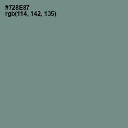 #728E87 - Blue Smoke Color Image