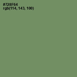 #728F64 - Camouflage Green Color Image