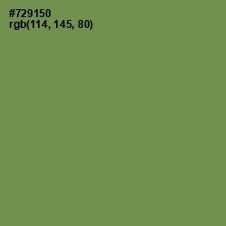 #729150 - Glade Green Color Image