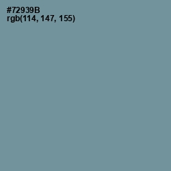 #72939B - Juniper Color Image