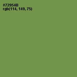 #72954B - Glade Green Color Image