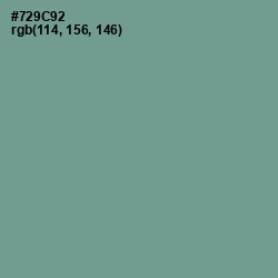 #729C92 - Juniper Color Image