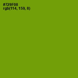 #729F08 - Limeade Color Image