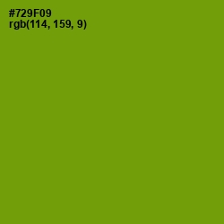 #729F09 - Limeade Color Image