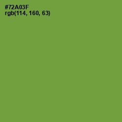 #72A03F - Olive Drab Color Image
