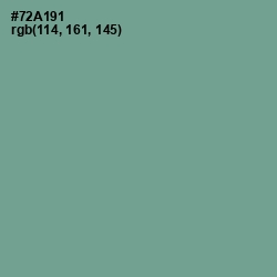 #72A191 - Sea Nymph Color Image