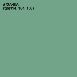 #72A48A - Bay Leaf Color Image