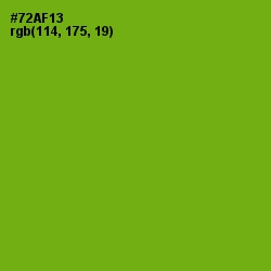 #72AF13 - Christi Color Image