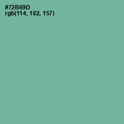 #72B69D - Silver Tree Color Image