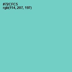 #72CFC5 - Downy Color Image