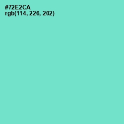 #72E2CA - Aquamarine Color Image