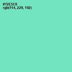 #72E5C0 - Aquamarine Color Image