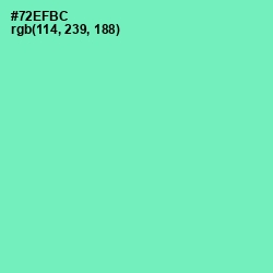#72EFBC - De York Color Image