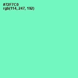 #72F7C0 - Aquamarine Color Image