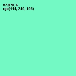 #72F9C4 - Aquamarine Color Image