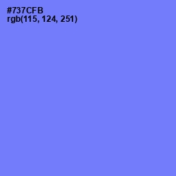 #737CFB - Moody Blue Color Image