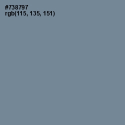 #738797 - Slate Gray Color Image