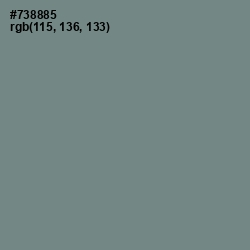#738885 - Blue Smoke Color Image