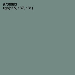 #738983 - Blue Smoke Color Image