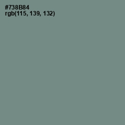 #738B84 - Blue Smoke Color Image