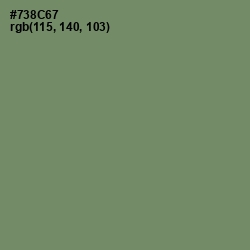 #738C67 - Camouflage Green Color Image